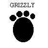 Signed Grizzly